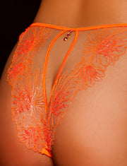 Britt Orange Brief
