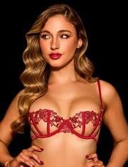 Rosaline Red Bra & Bottom Lingerie Set