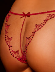 Sarah Red Brief
