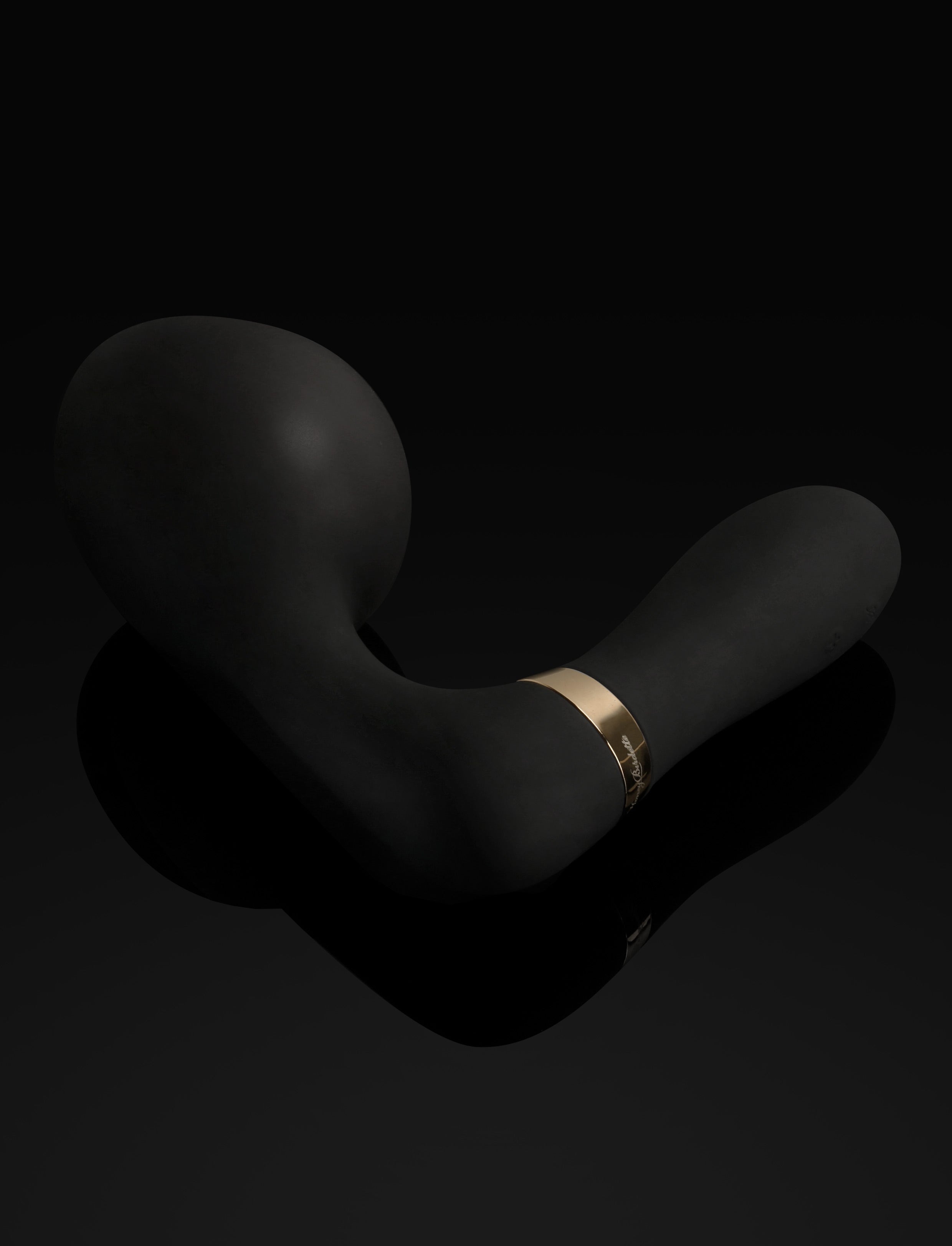Maxx Inflatable Toy