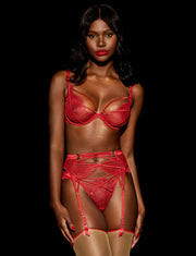 Tessa Red Brief